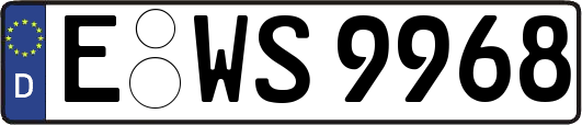 E-WS9968