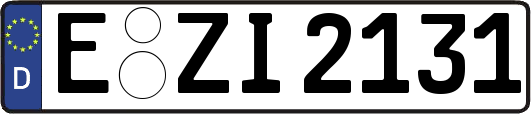 E-ZI2131