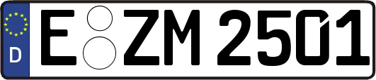 E-ZM2501
