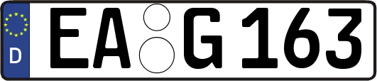 EA-G163