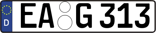 EA-G313