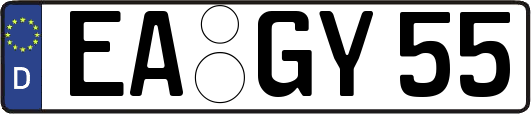 EA-GY55