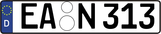 EA-N313