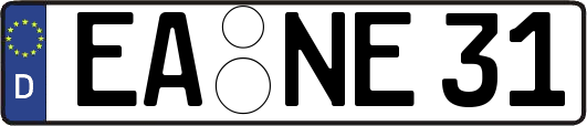 EA-NE31