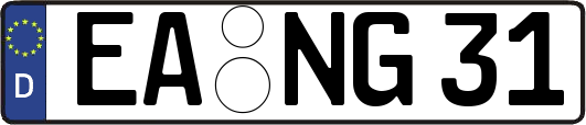 EA-NG31