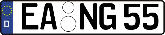 EA-NG55
