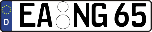 EA-NG65