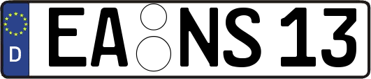EA-NS13