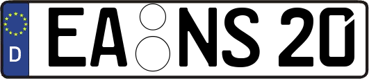 EA-NS20