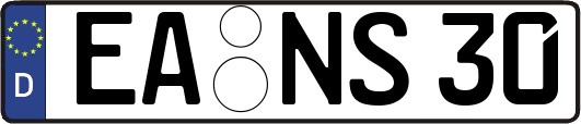 EA-NS30