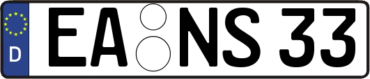 EA-NS33