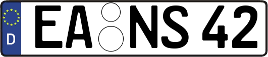 EA-NS42