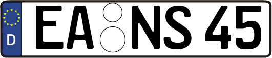 EA-NS45