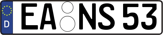 EA-NS53