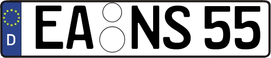 EA-NS55