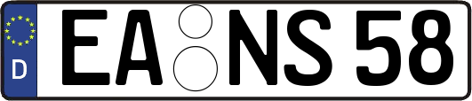 EA-NS58