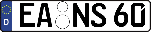 EA-NS60