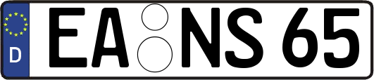 EA-NS65