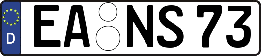 EA-NS73