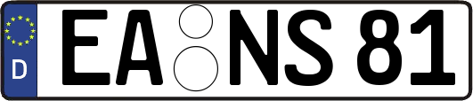 EA-NS81