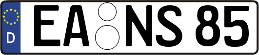 EA-NS85
