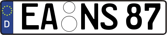 EA-NS87