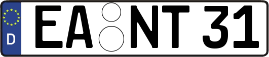 EA-NT31