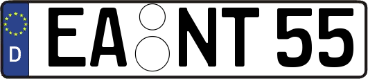 EA-NT55