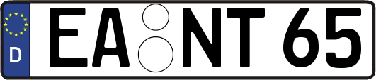 EA-NT65