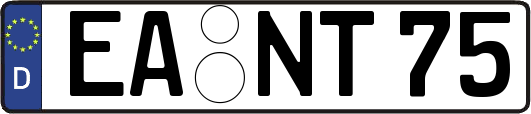 EA-NT75