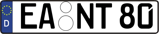 EA-NT80