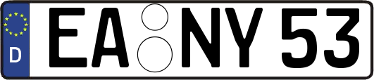 EA-NY53