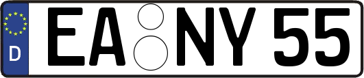 EA-NY55