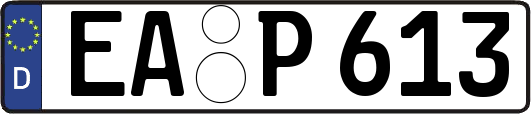 EA-P613