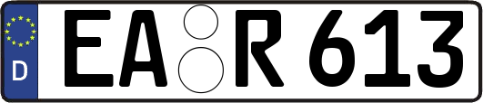 EA-R613