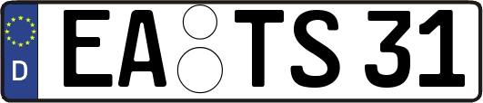 EA-TS31
