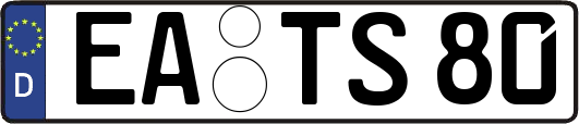 EA-TS80