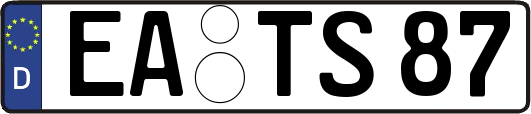 EA-TS87