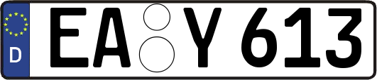 EA-Y613