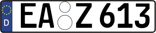 EA-Z613