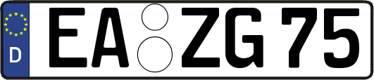 EA-ZG75