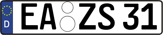 EA-ZS31