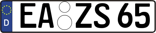 EA-ZS65