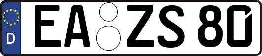 EA-ZS80