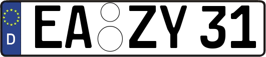 EA-ZY31