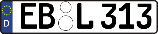 EB-L313