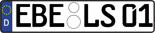 EBE-LS01