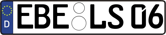 EBE-LS06