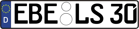 EBE-LS30