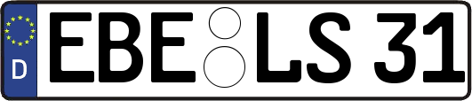 EBE-LS31